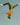 Save the Duck
