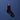 2000046537384_img1_blue