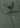 Short Sleeved Piqué Polo Shirt