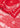 Bandana with Paisley Pattern