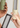 Lint Brush