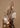 MAYA_HW25_FALL__Woman2630_5x7_4f059cd1-e6f4-4929-848f-82b838bd9bf0.jpg